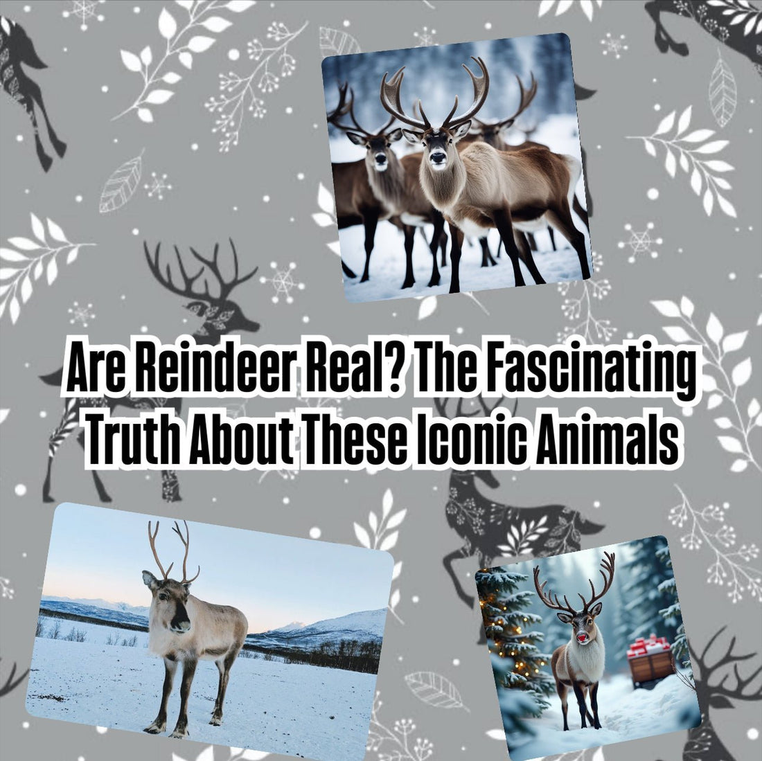Are Reindeer Real? The Fascinating Truth About These Iconic Animals - Tree Treasures