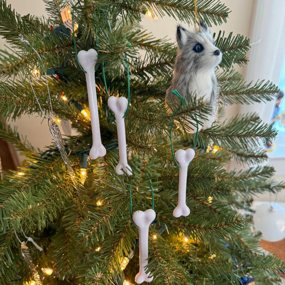 Dog Bone Ornaments for Christmas Tree – Pet Gifts by Tree Treasures, Set of 10