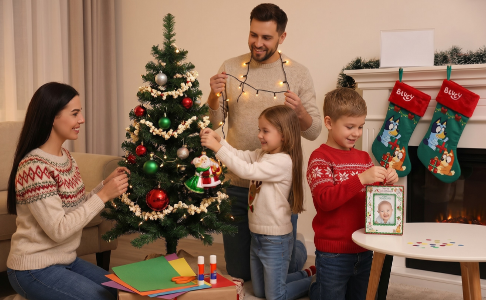 Best Christmas Ornament Gifts Under $25