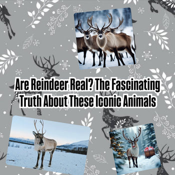 Are Reindeer Real? The Truth About These Iconic Animals – Tree Treasures