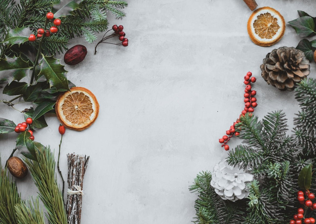 Common Challenges During Christmas Travel and Their Solutions - Tree Treasures