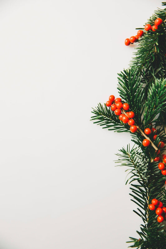 Common Christmas Ornament Dilemmas and How to Solve Them - Tree Treasures