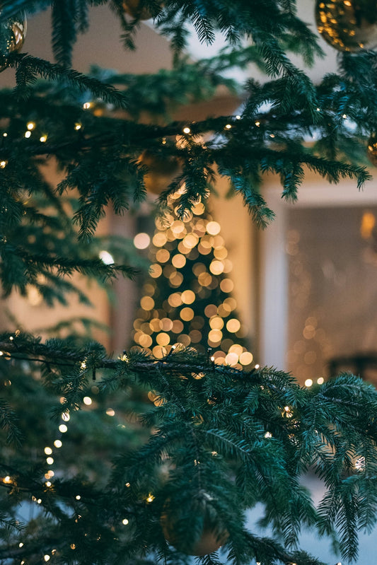 Experiencing Christmas in Different Cultures - Tree Treasures