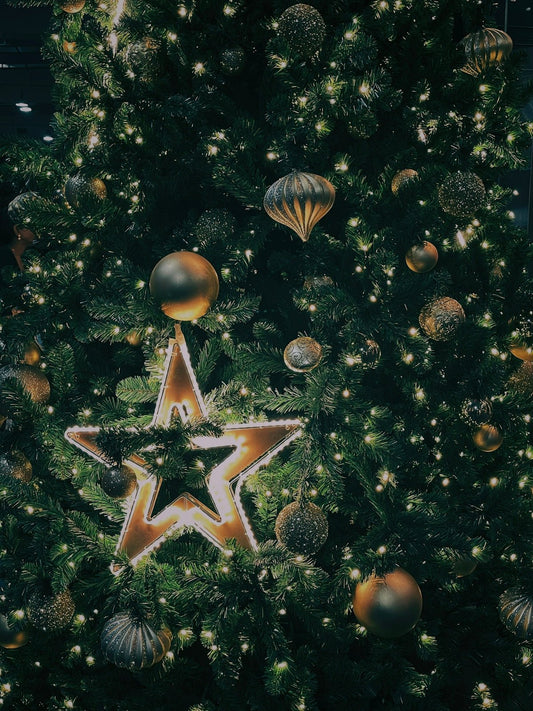 FAQs About Storing and Caring for Christmas Ornaments - Tree Treasures
