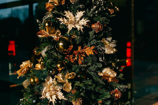 Hassle-free Tips for a Greener Christmas Celebration - Tree Treasures