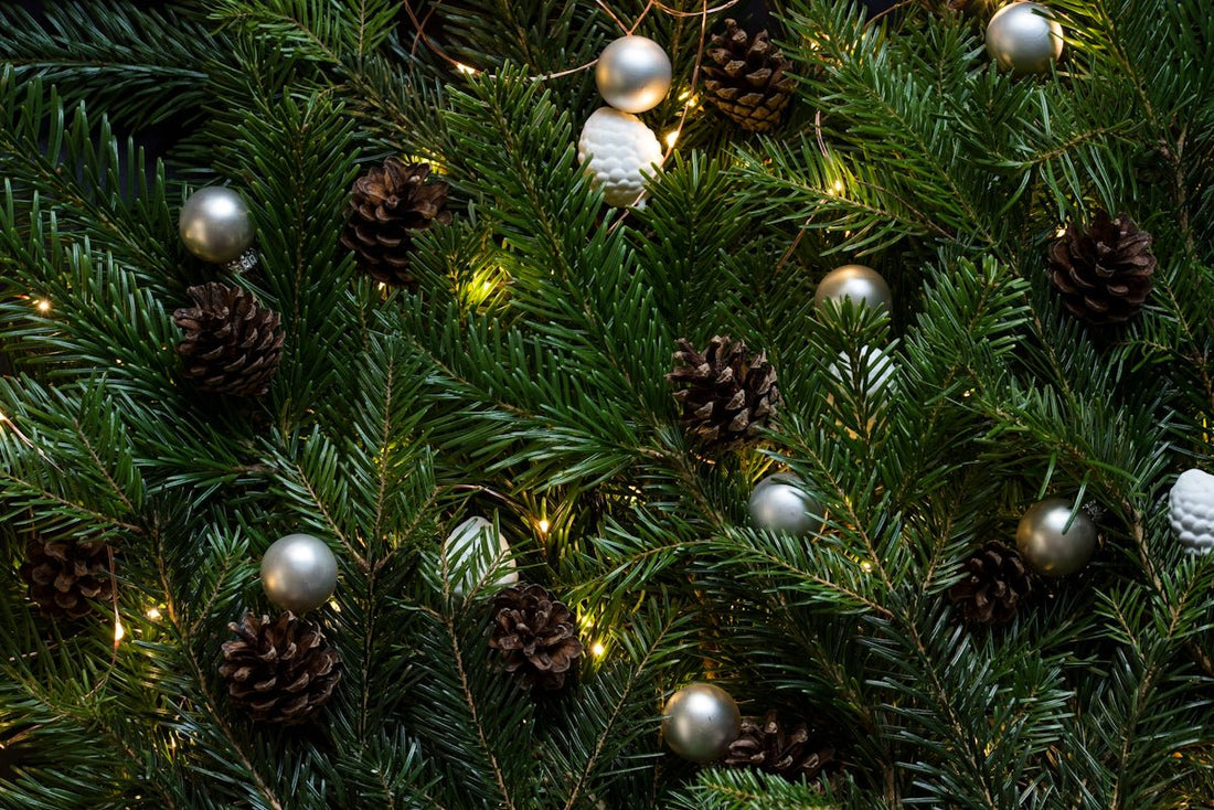 How to Organize the Ideal Christmas Family Get-Together - Tree Treasures