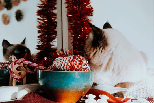 Infuse Your Desserts With Holiday Spirit: Best Cake and Pudding Recipes - Tree Treasures