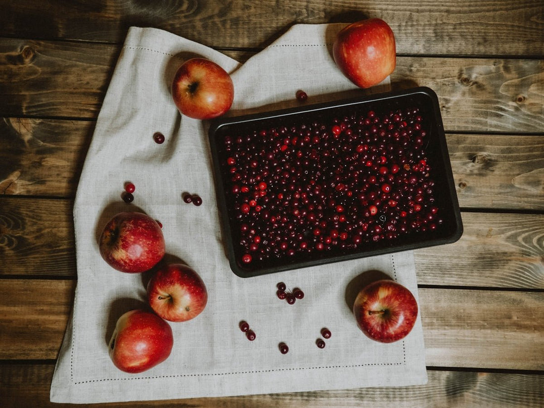 Tantalizing Christmas Appetizers Your Guests Can't Resist - Tree Treasures