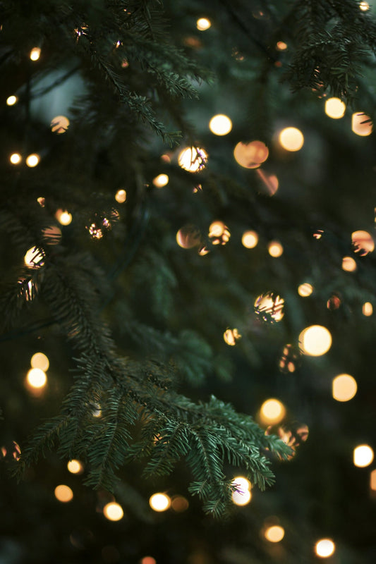 The Ultimate Guide to Choosing the Best Christmas Lights - Tree Treasures