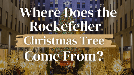 Where Does the Rockefeller Christmas Tree Come From? - Tree Treasures