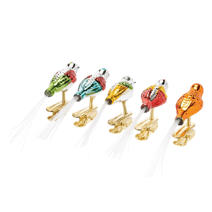 Kurt Adler Early Years Glass Clip - On Bird Ornaments – Set of 5, 4.5" - Tree Treasures