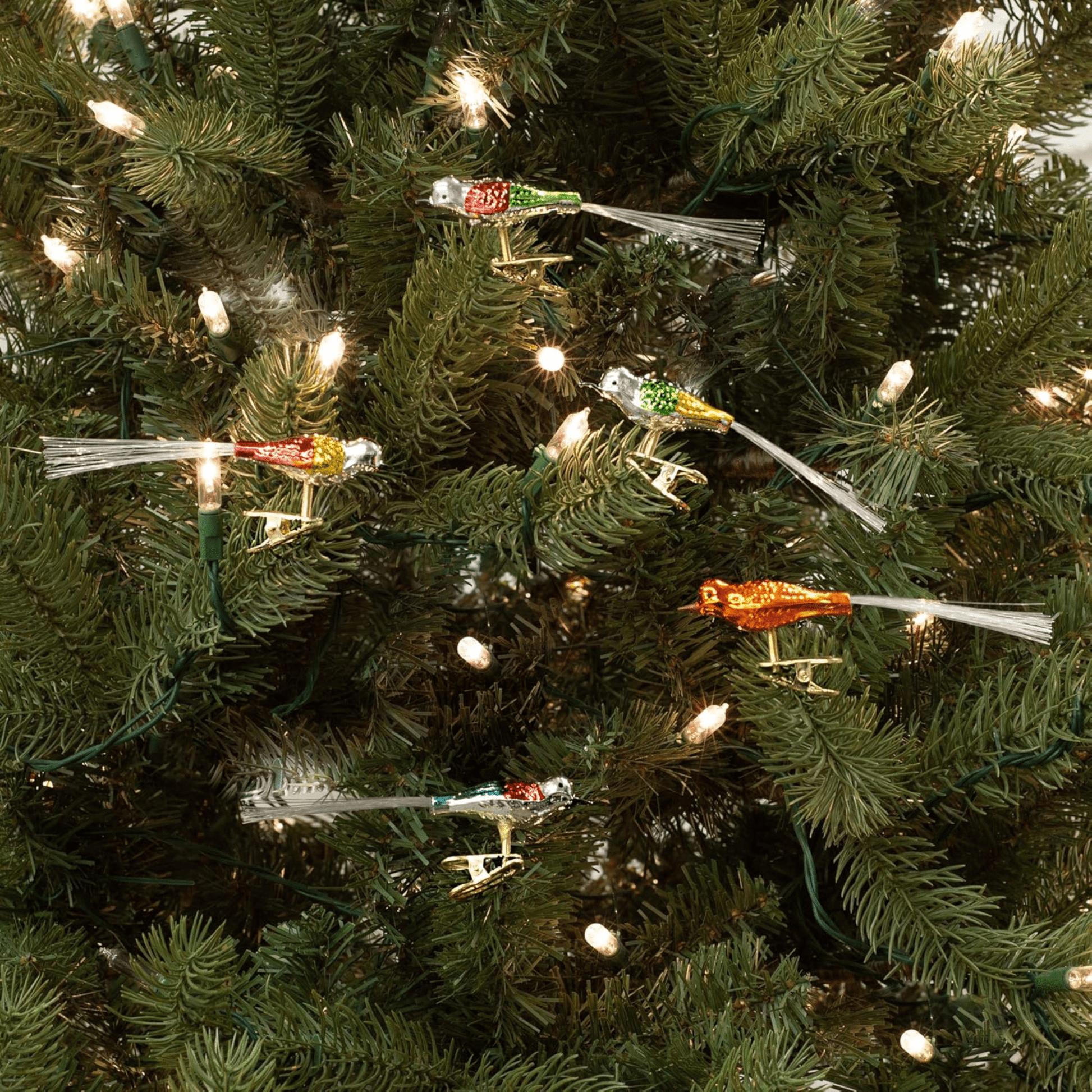 Kurt Adler Early Years Glass Clip - On Bird Ornaments – Set of 5, 4.5" - Tree Treasures