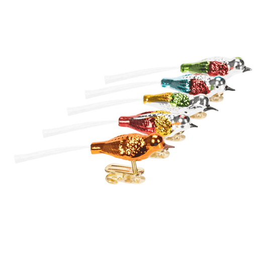 Kurt Adler Early Years Glass Clip - On Bird Ornaments – Set of 5, 4.5" - Tree Treasures