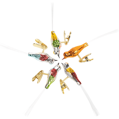 Kurt Adler Early Years Glass Clip - On Bird Ornaments – Set of 5, 4.5" - Tree Treasures