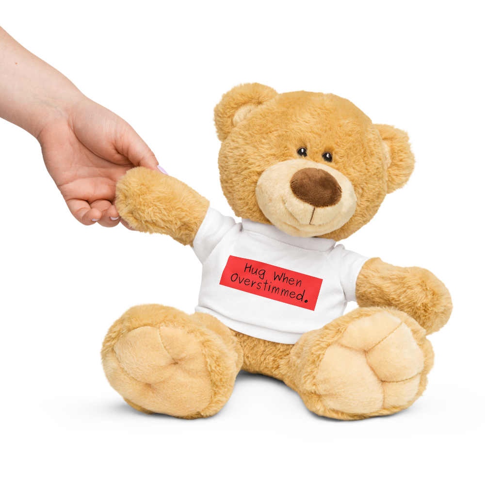 "Hug When Overstimmed" Comfort Teddy