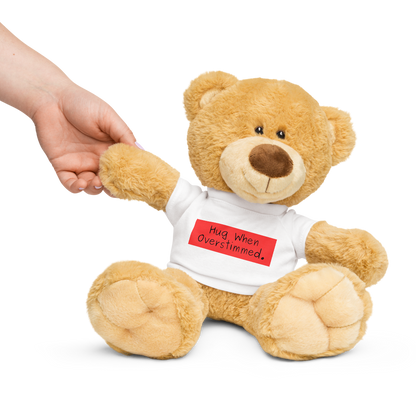 "Hug When Overstimmed" Comfort Teddy