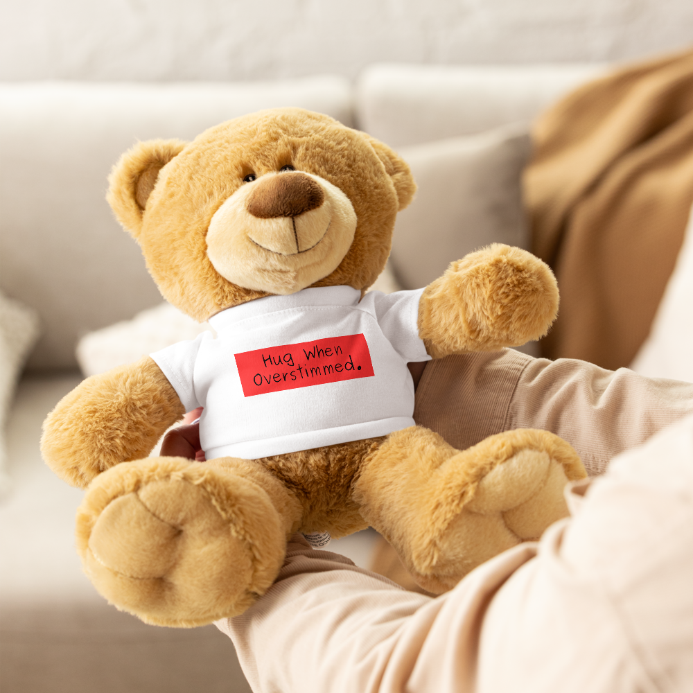 "Hug When Overstimmed" Comfort Teddy