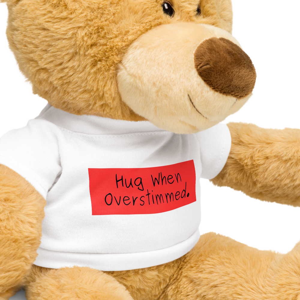 "Hug When Overstimmed" Comfort Teddy